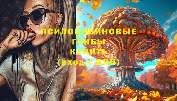 мяу мяу кристалл Богданович